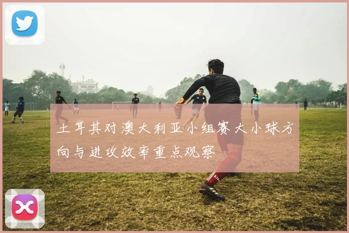 土耳其对澳大利亚小组赛大小球方向与进攻效率重点观察
