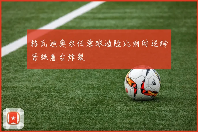 格瓦迪奥尔任意球造险比利时逆转晋级看台炸裂
