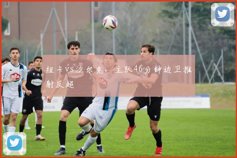 纽卡vs沙尔克，主队46分钟边卫推射反超