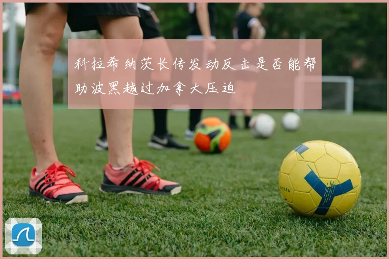 科拉希纳茨长传发动反击是否能帮助波黑越过加拿大压迫