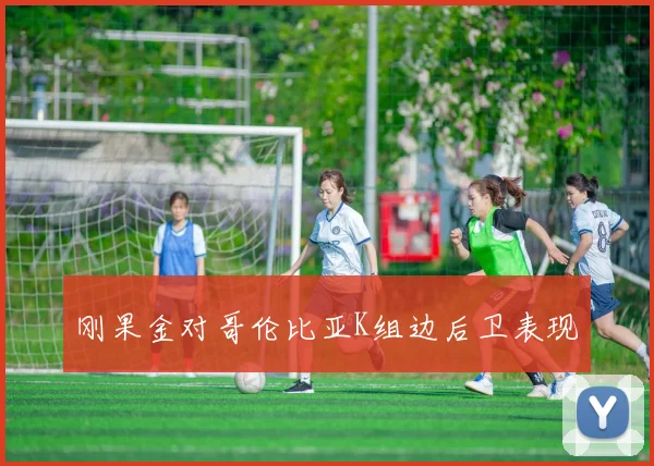 刚果金对哥伦比亚K组边后卫表现