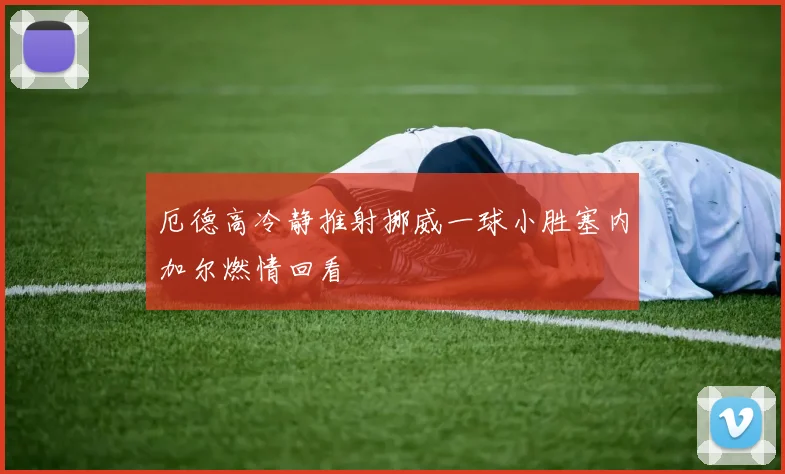 厄德高冷静推射挪威一球小胜塞内加尔燃情回看